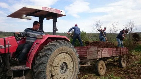 Bursa'da Çiftçiler Hayvan Gübresine Dönüyor