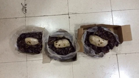 Bitlis'te Uyuşturucu Operasyonu Yapıldı