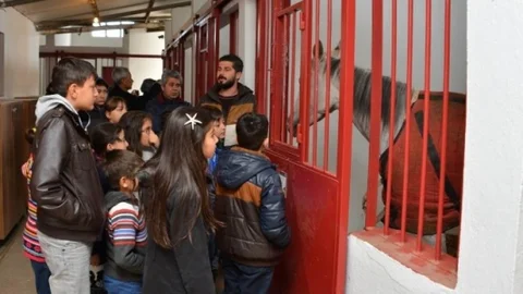 Selçuk'ta Çocuklara Özel Etkinlikler