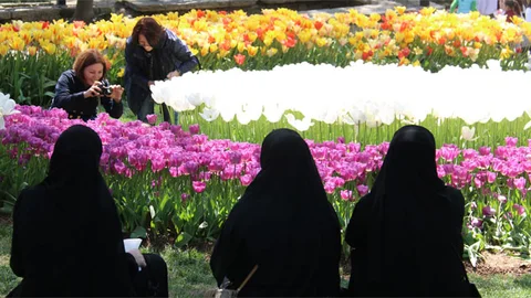 İstanbul Emirgan Korusu'nda Lale Festivali Coşkusu