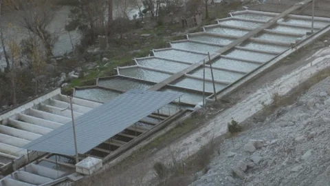 Fethiye'de Alabalık Üreticileri Toplandı