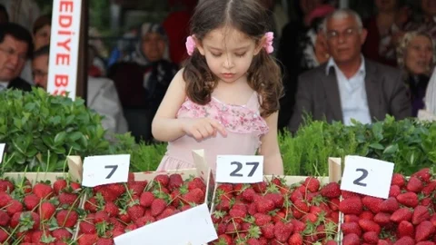 Aydın'da Çilek Üretimi Artıyor