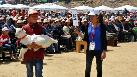 Oğlak ve Çoban Şenliği Coşkuyla Gerçekleşti