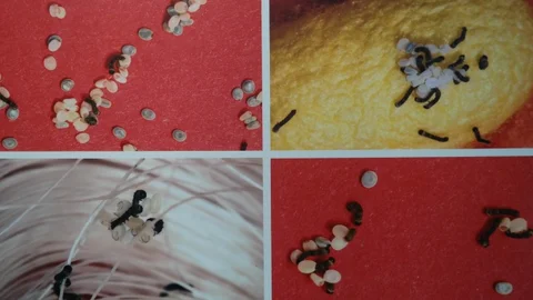 İpekböceği Fotoğraf Sergisi Açıldı