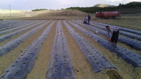 Darende Tarımda Başarı Elde Etti