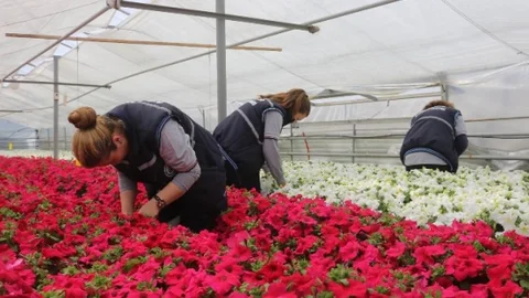 Eskişehir Çiçeklerle Donatılıyor