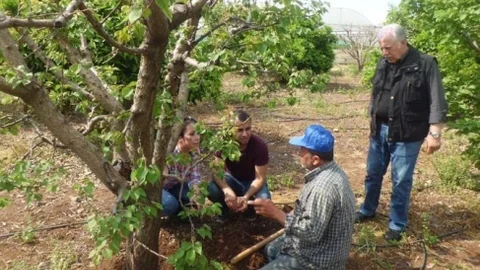 Mersin'de Ziraat Mühendisleri Eğitim Veriyor