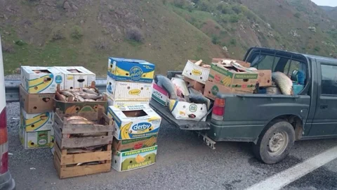 Elazığ'da Kaçak Balık Yakalandı