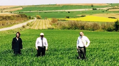 Tekirdağ'da Süne Mücadelesi Uyarısı