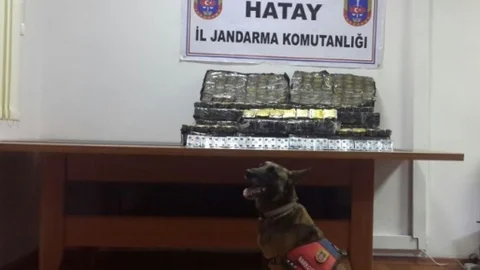 Hatay'da Kaçak Ürün Operasyonu