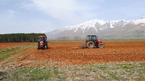 Tunceli Ovacık'ta Organik Tohum Projesi