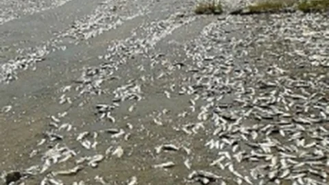 Tokat'ta Baraj Taşması Olayı