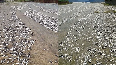 Tokat'ta Baraj Taşması Olayı