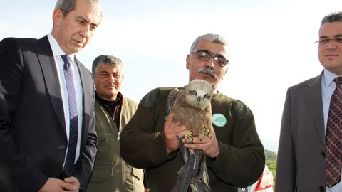Iğdır'da Delice Kuşu Doğaya Salındı