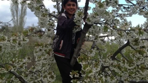 Pazarlar’da Bahar Neşesi