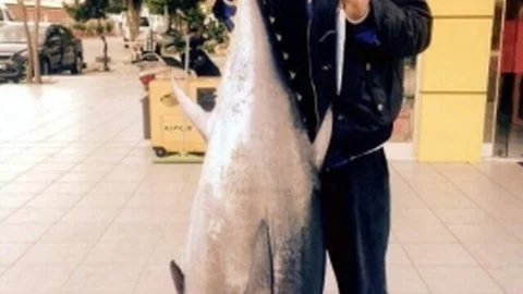 Alanya'da 65 Kiloluk Orkinos Yakalandı