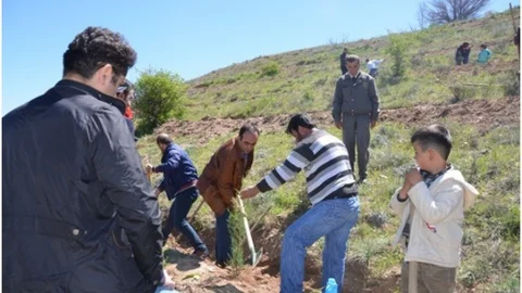 Malatya'da Ağaç Dikimi Etkinliği