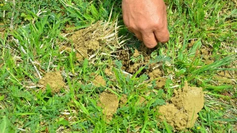 Kocaeli Gökçeören'de Orkide Cezaevi