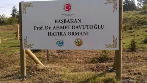 Düzce'de Hatıra Ormanı Açıldı