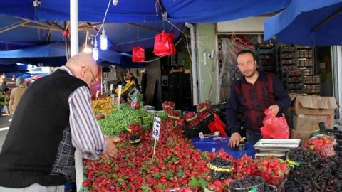 Erik Fiyatında Büyük Düşüş
