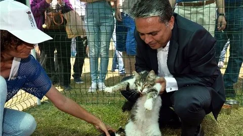Muratpaşa'da Sokak Hayvanları Festivali