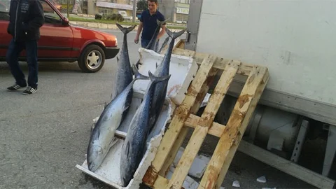 Kaçak Balık Satıcılarına Müdahale Edildi