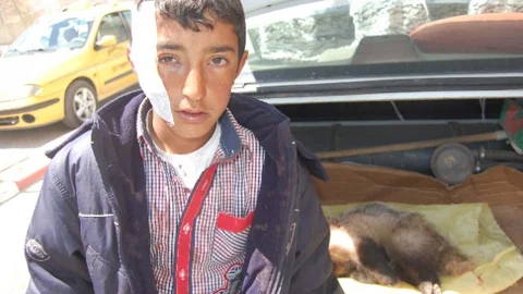 Bitlis'te Porsuk Saldırısı Yaşandı