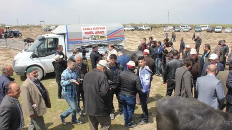 Deltaya Manda Salınım Festivali Coşkusu