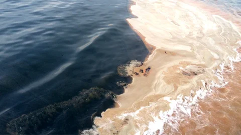 Yalova'da Denizde Kahverengi Tabaka Belirdi