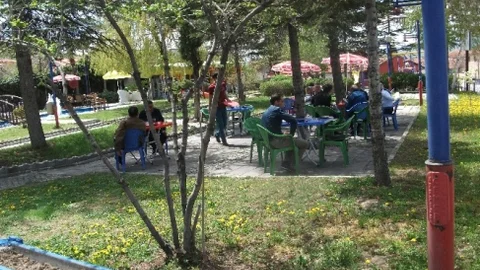 Seyitgazi'de Çay Bahçesi Hazır