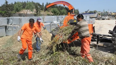 Mersin'de Budanan Dallar Geri Dönüşüme Kazandırılıyor