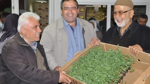 Aksaray'da Çiftçilere Fide Desteği