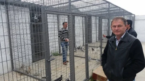 Güvercinler İçin Yeni Alan Açıldı