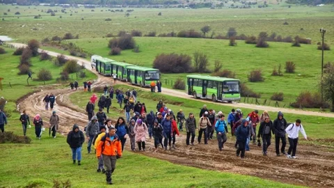 Sakarya'da Doğa Yürüyüşü Keyfi