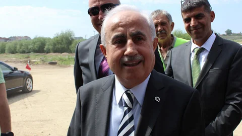 Edirne'de Başıboş At Sorunu Çözülüyor