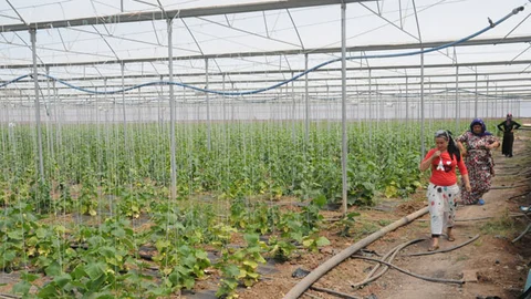 Cizre'de Elektrik Kesintisi Sorunu