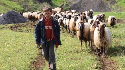 Göçerlerin Yolculuğu Devam Ediyor