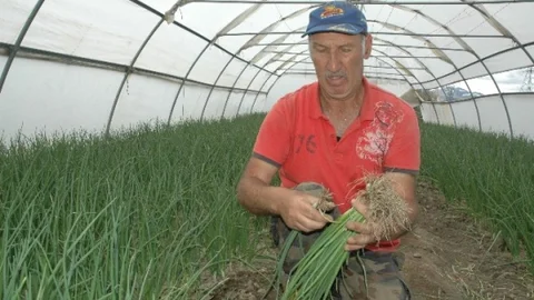 Erzurum'da Sebze Üretimi İle Enflasyonla Mücadele