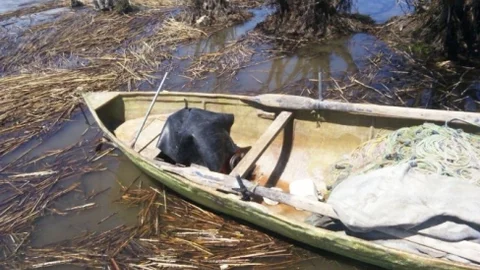 Beyşehir Gölü'nde Balıkçı Kayığına Ceza Verildi