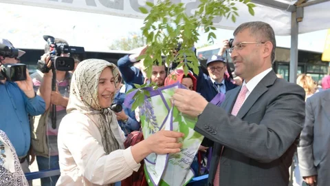 Üsküdar'da Bahar Coşkusu: Mor Salkım ve Mimoza Şenliği