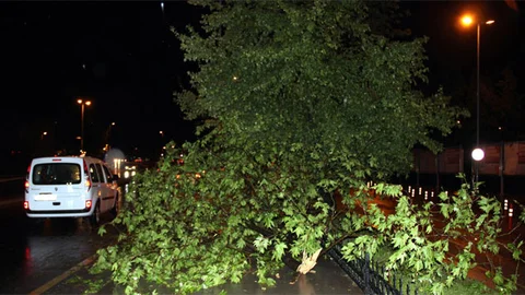 Yalova'da Fırtına ve Sağanak Yağış Etkili Oldu