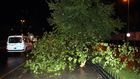 Yalova'da Fırtına ve Yağış Felaketi Yaşandı