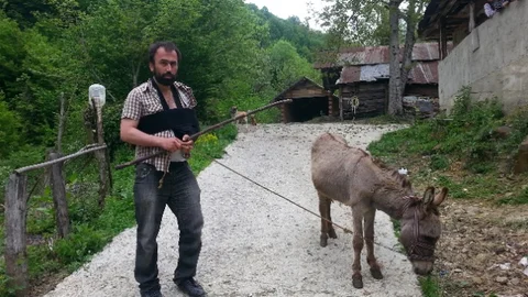 Bartın'da Eşek Saldırısı Davası