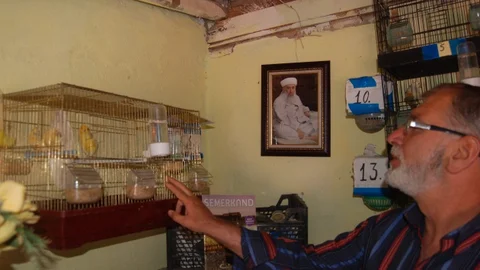 Ercan Özen'in Kanarya Sevgisi