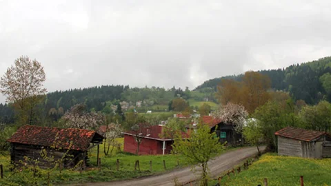 Kastamonu'da Kuş Gribi Karantinası Kaldırıldı