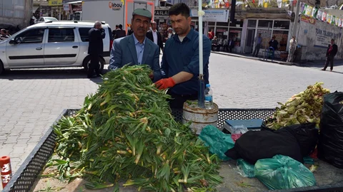 Şifalı Otlar Ekonomiye Katkı Sağlıyor