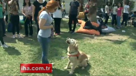 İstanbul Kültür Üniversitesi'nde Köpeklerle Stres Yönetimi