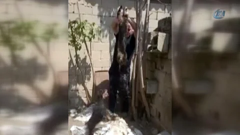 Kırklareli'nde Kediye İşkence Olayı