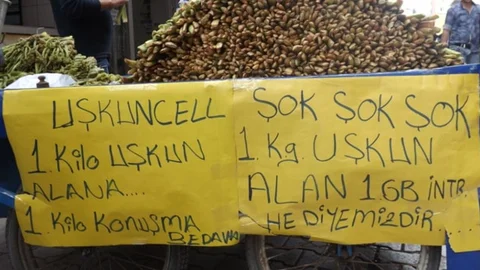 Van'da Uçkun Bitkisi Satışı