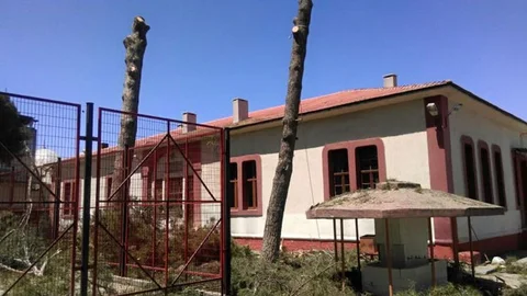 Salihli'de Tehlikeli Ağaçlar Kesildi